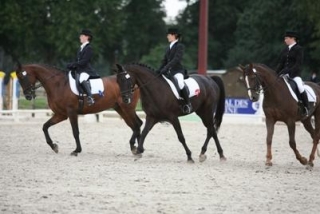  Horse riding at Haras des Bussieres 
